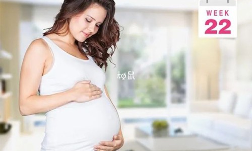 板蓝根颗粒孕妇可以用吗-板蓝根颗粒 孕妇-专业板蓝根颗粒是孕妇禁用的吗平台-板蓝根颗粒孕妇可以喝吗?