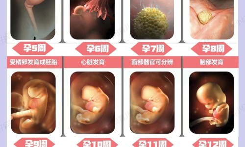 板蓝根颗粒 孕妇-专业板蓝根颗粒是孕妇禁用的吗平台-板蓝根颗粒孕妇可以喝吗?